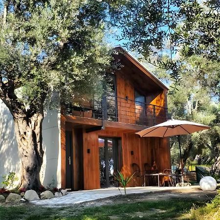Coratina Cottage أولتْسي المظهر الخارجي الصورة