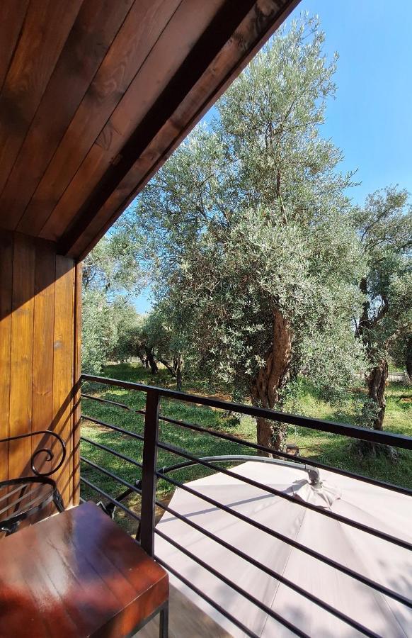 Coratina Cottage أولتْسي المظهر الخارجي الصورة