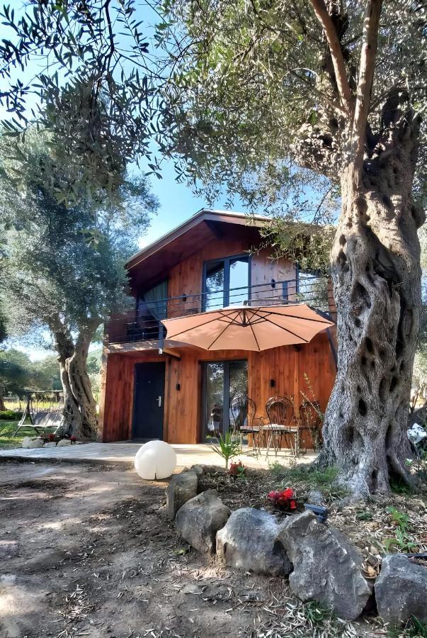 Coratina Cottage أولتْسي المظهر الخارجي الصورة