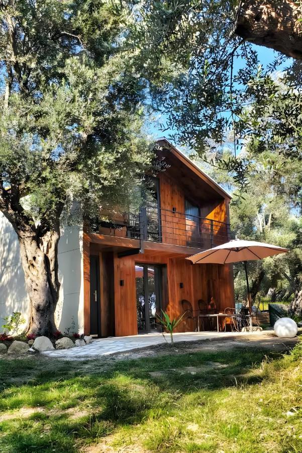 Coratina Cottage أولتْسي المظهر الخارجي الصورة