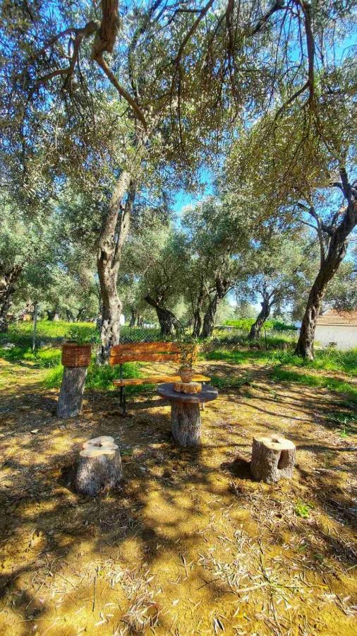 Coratina Cottage أولتْسي المظهر الخارجي الصورة