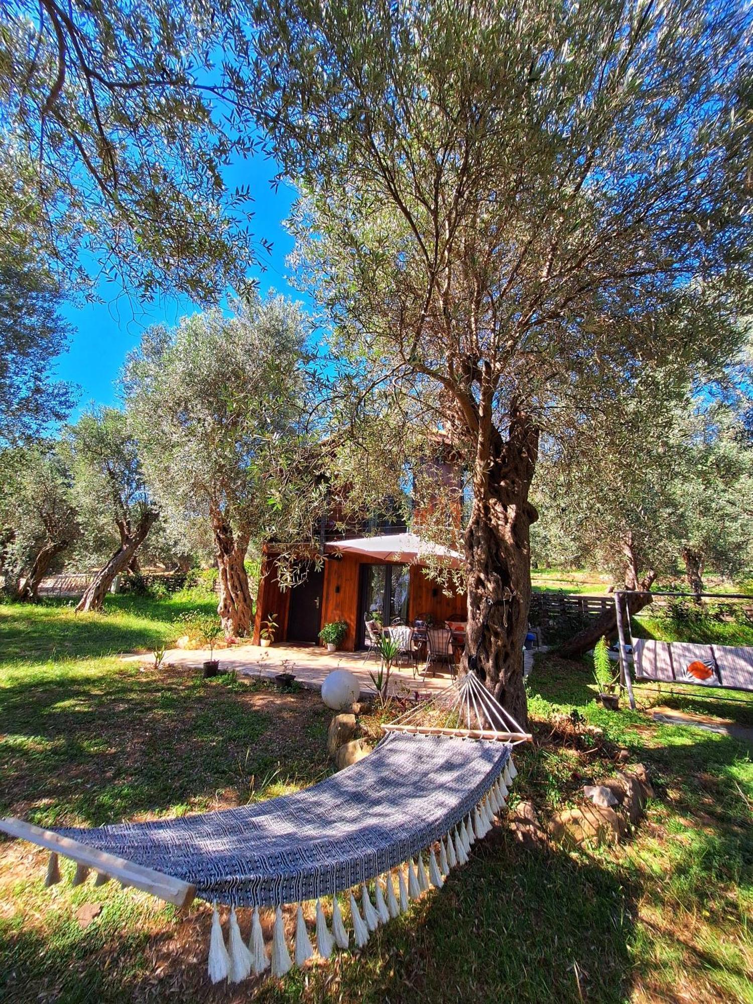 Coratina Cottage أولتْسي المظهر الخارجي الصورة