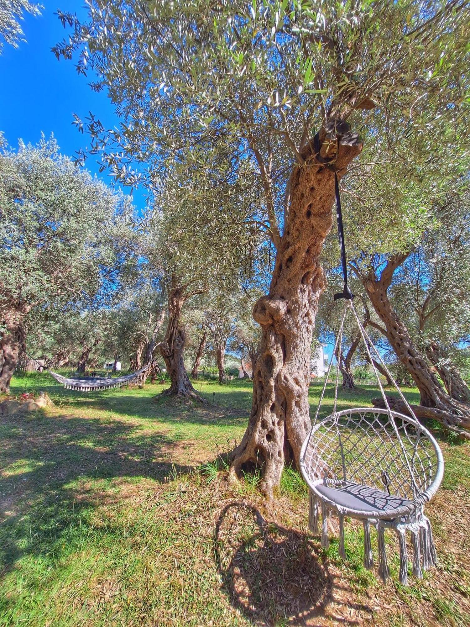 Coratina Cottage أولتْسي المظهر الخارجي الصورة
