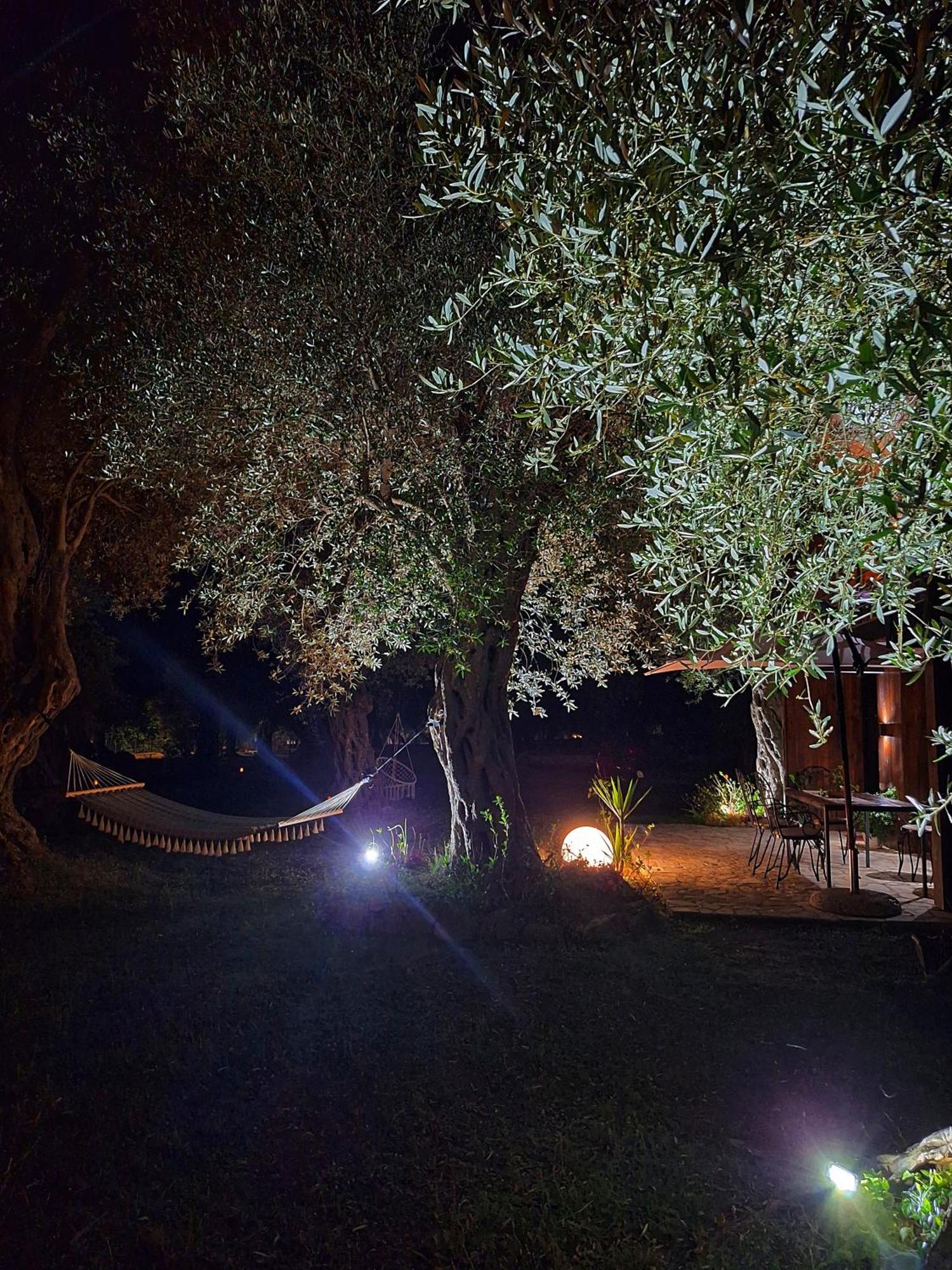 Coratina Cottage أولتْسي المظهر الخارجي الصورة