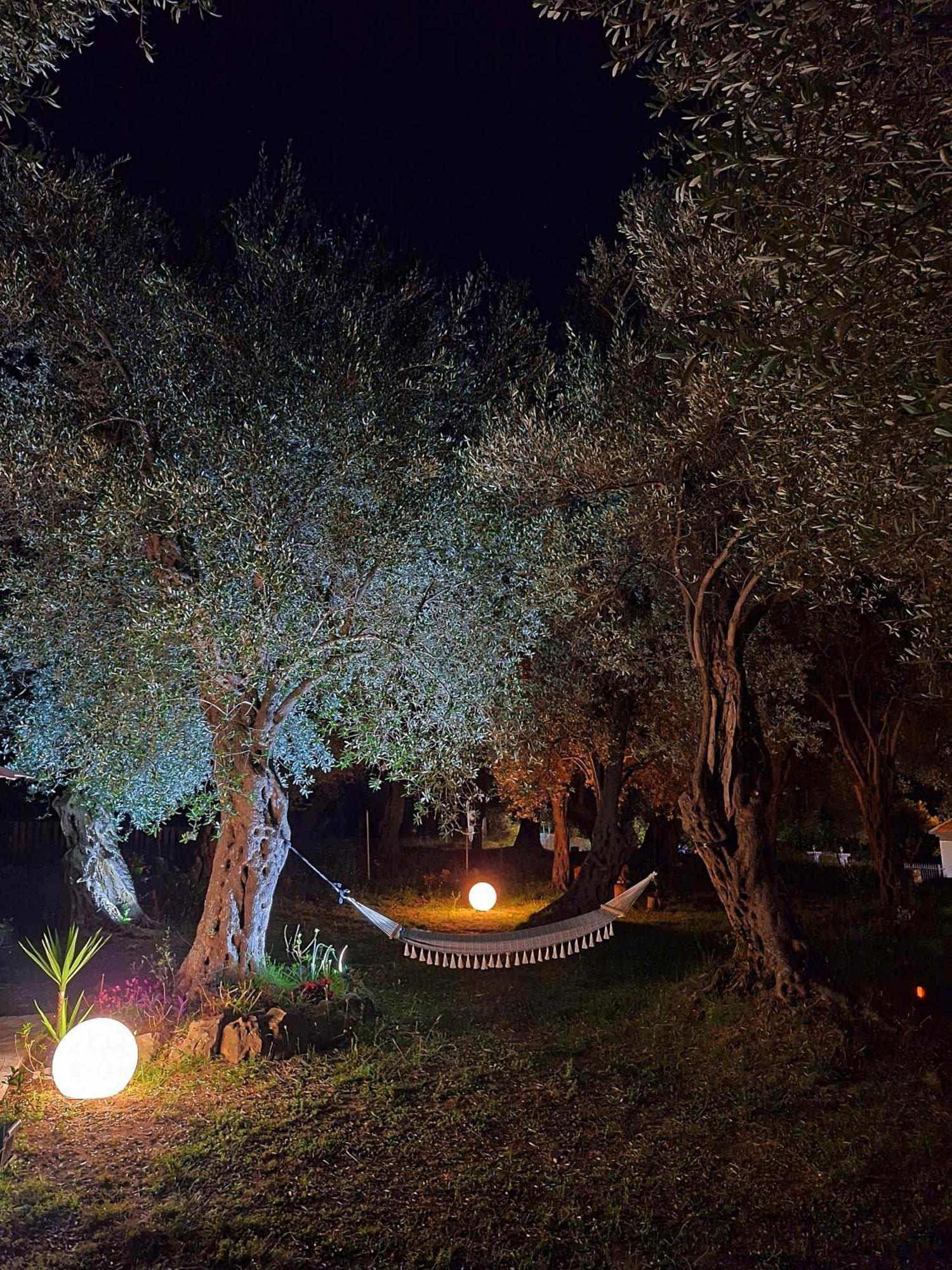 Coratina Cottage أولتْسي المظهر الخارجي الصورة